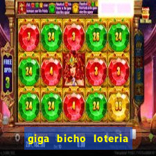 giga bicho loteria dos sonhos